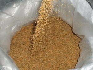 soybean meal